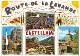 04-CASTELLANE-N°3831-A/0213 - Castellane