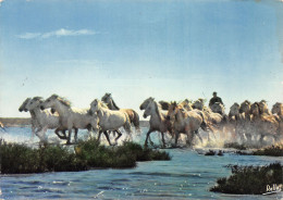 13-EN CAMARGUE-N°3830-D/0361 - Sonstige & Ohne Zuordnung