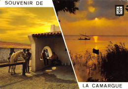 13-EN CAMARGUE-N°3830-D/0365 - Andere & Zonder Classificatie