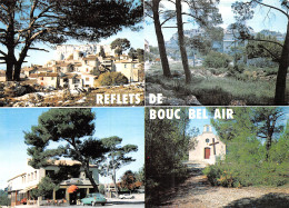 13-BOUC BEL AIR-N°3831-C/0391 - Other & Unclassified