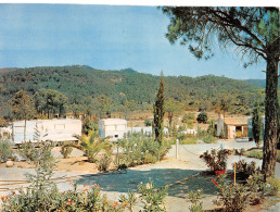 83-FREJUS-N°3831-C/0303 - Frejus