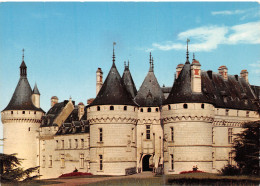 41-CHAUMONT SUR LOIRE-N°3831-C/0253 - Andere & Zonder Classificatie