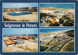 40-SEIGNOSSE LE PENON-N°3831-C/0231 - Otros & Sin Clasificación