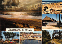 40-SEIGNOSSE LE PENON-N°3831-C/0229 - Andere & Zonder Classificatie