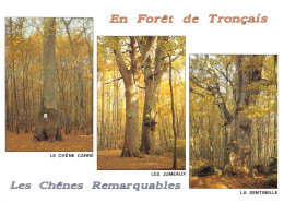 03-FORET DE TRONCAIS-N°3832-A/0239 - Otros & Sin Clasificación