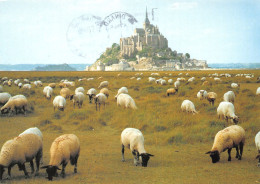 50-LE MONT SAINT MICHEL-N°3832-A/0205 - Le Mont Saint Michel