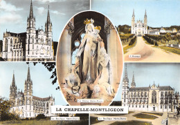 61-LA CHAPELLE MONTLIGEON-N°3832-A/0031 - Autres & Non Classés