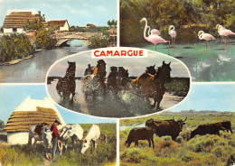 13-LA CAMARGUE-N°3832-D/0307 - Other & Unclassified