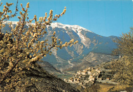 84-MONT VENTOUX-N°3832-C/0297 - Sonstige & Ohne Zuordnung