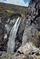 63-L AUVERGNE LA GRANDE CASCADE DU MONT DORE-N°3832-C/0161 - Other & Unclassified