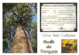 03-FORET DE TRONCAIS-N°3832-B/0295 - Sonstige & Ohne Zuordnung