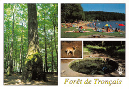 03-FORET DE TRONCAIS-N°3832-B/0297 - Otros & Sin Clasificación