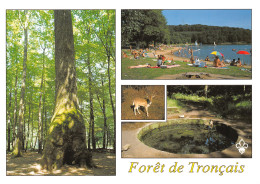 03-FORET DE TRONCAIS-N°3832-B/0301 - Otros & Sin Clasificación