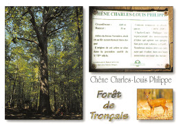 03-FORET DE TRONCAIS-N°3832-B/0293 - Sonstige & Ohne Zuordnung