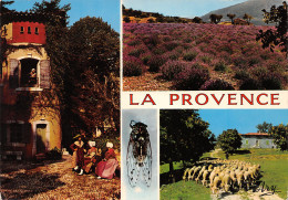 04-PROVENCE MULTI VUES-N°3832-B/0247 - Autres & Non Classés