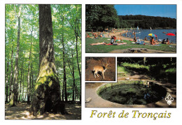 03-FORET DE TRONCAIS-N°3832-B/0209 - Otros & Sin Clasificación