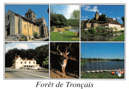 03-FORET DE TRONCAIS-N°3832-B/0211 - Sonstige & Ohne Zuordnung