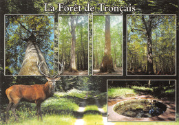 03-FORET DE TRONCAIS-N°3832-B/0205 - Otros & Sin Clasificación