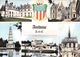 37-AMBOISE-N°3833-B/0115 - Amboise