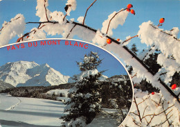 74-LE MONT BLANC-N°3833-A/0055 - Sonstige & Ohne Zuordnung