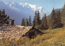 74-CHAMONIX-N°3833-A/0053 - Chamonix-Mont-Blanc