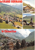 74-LE GRAND BORNAND-N°3833-A/0009 - Other & Unclassified