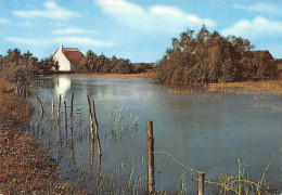 13-LA CAMARGUE-N°3833-C/0057 - Autres & Non Classés