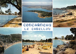 29-CONCARNEAU-N°3834-A/0395 - Concarneau