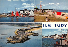 29-ILE TUDY-N°3834-A/0381 - Ile Tudy