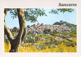 18-SANCERRE-N°3834-A/0191 - Sancerre