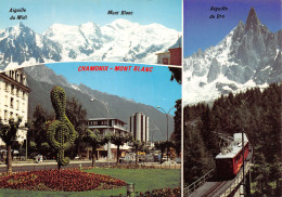 74-CHAMONIX-N°3834-A/0123 - Chamonix-Mont-Blanc