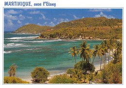 972-MARTINIQUE PRESQU ILE DE LA CARAVELLE-N°3833-D/0399 - Otros & Sin Clasificación