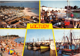 29-LOCTUDY-N°3834-C/0067 - Loctudy