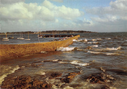 29-CONCARNEAU-N°3834-B/0363 - Concarneau