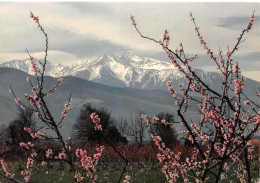 66-MASSIF DU CANIGOU-N°3834-B/0331 - Andere & Zonder Classificatie