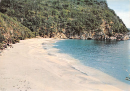 977-SAINT BARTHELEMY  PLAGE DE GRAND GALET-N°3835-B/0199 - Sonstige & Ohne Zuordnung