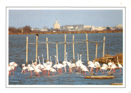 30-AIGUES MORTES-N°3835-A/0399 - Aigues-Mortes