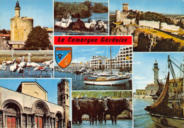 13-CAMARGUE-N°3835-A/0155 - Other & Unclassified