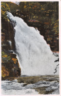 25-SAUT DU DOUBS-N°3834-E/0225 - Andere & Zonder Classificatie