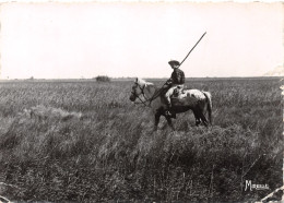 13-CAMARGUE-N°3835-D/0255 - Autres & Non Classés