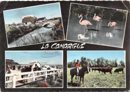 13-CAMARGUE-N°3835-D/0257 - Other & Unclassified