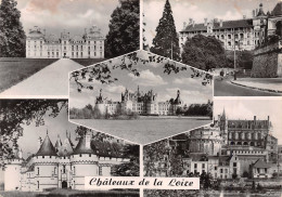 41-CHATEAUX DE LA LOIRE-N°3835-C/0065 - Andere & Zonder Classificatie