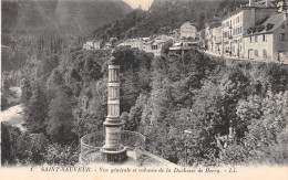 65-SAINT SAUVEUR-N°3835-E/0177 - Altri & Non Classificati