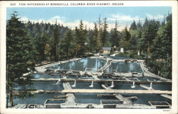 11328747 Bonnville Oregon Government Fish Hatcheries  - Other & Unclassified