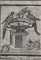 AD347 Napoli - Museo Archeologico Nazionale - Uccelli E Gatto - Mosaico Mosaique Mosaic Mosaik / Non Viaggiata - Napoli (Napels)