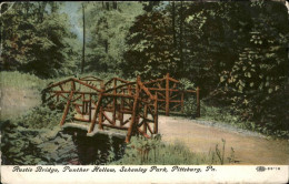 11328413 Pittsburg Pennsylvania Rustic Bridge Panther Hollow Shenley Park United - Other & Unclassified