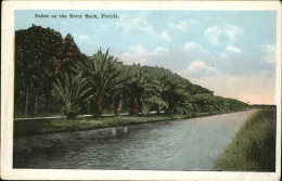 11328391 Florida Palms On The River Bank - Autres & Non Classés