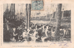 78-RAMBOUILLET-N°T2567-E/0363 - Rambouillet