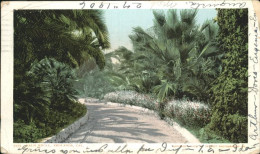 11328330 Redlands_United States Palm Knoll - Sonstige & Ohne Zuordnung