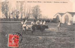 30-LA CAMARGUE-N°T2567-F/0325 - Andere & Zonder Classificatie